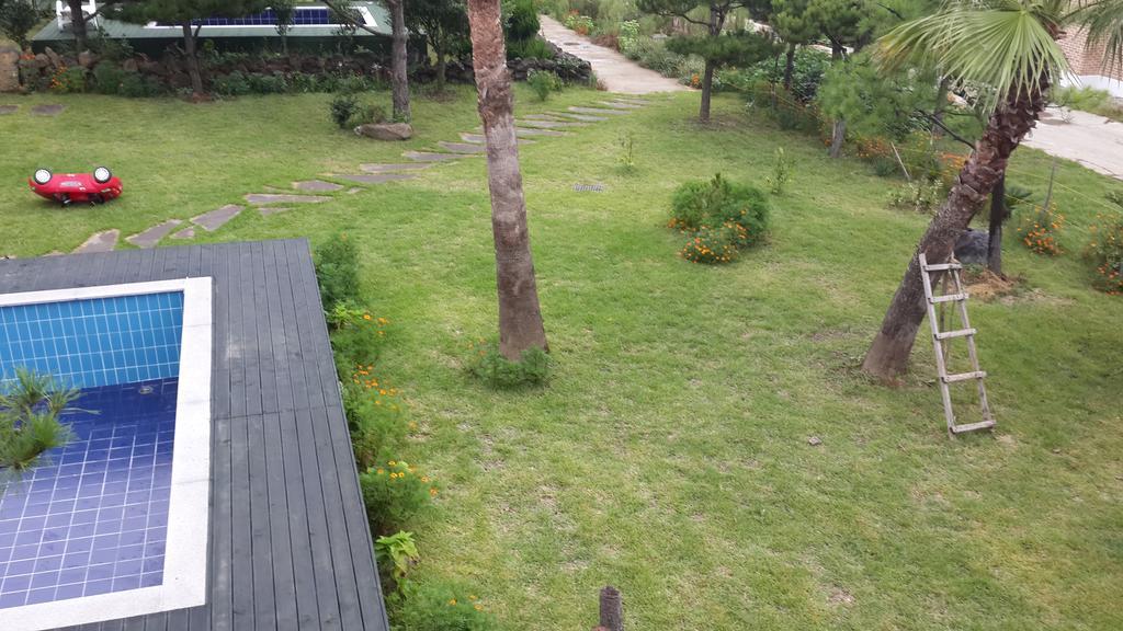 Jeju Olleh House Villa Ngoại thất bức ảnh